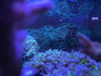 IMG_0647.jpg