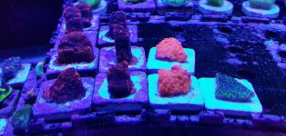 20180328_144233-01.jpg