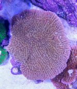 20161220_191849.jpg