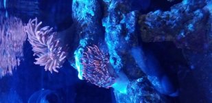20180327_192046.jpg