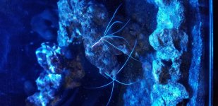 20180327_192049.jpg
