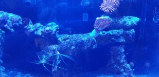 20180327_192055.jpg