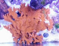 20161220_193428.jpg