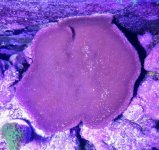 20161220_193354.jpg