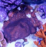 20161220_193454.jpg