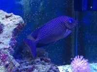 IMG_0913.jpg