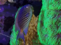 20180328_194005.jpg