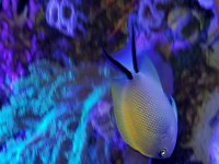20180328_193852.jpg