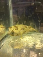 IMG_0367.jpg
