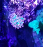 20170714_195156.jpg