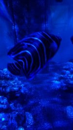 IMG_20180105_222252.jpg