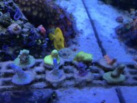 IMG_8382.jpg