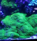 20170714_193705.jpg