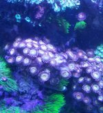 20170714_193712.jpg