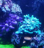 20170714_193721.jpg