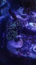 20180329_165539.jpg