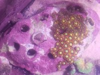 20180625_141732.jpg
