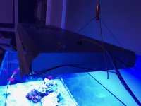 IMG_1280.jpg