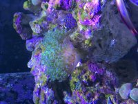 IMG_0410.jpg