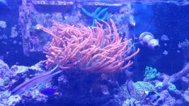 20161227_163224.jpg