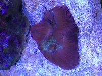 IMG_0411.jpg