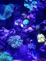 IMG_20170307_194146.jpg