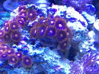 IMG_0964.jpg