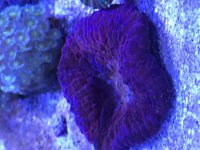 IMG_0415.jpg