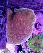 20161220_193344.jpg