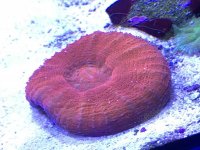 IMG_2773.jpg