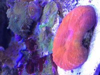IMG_2774.jpg
