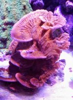 20161228_122356.jpg
