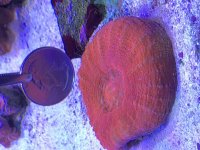 IMG_2776.jpg