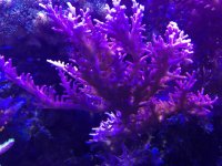 IMG_8122.jpg