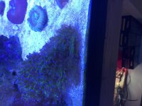 IMG_0423.jpg