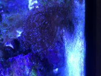 IMG_0424.jpg