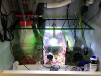 sump2.jpg