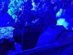 20170307_185855.jpg