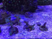 D6D3D68E-C0E5-405D-8D90-93D03A3E31E5.jpg