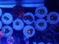 20170506_021359.jpg