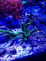 IMG_0169.jpg
