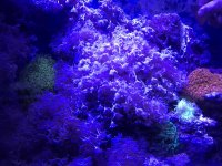 IMG_0072.jpg