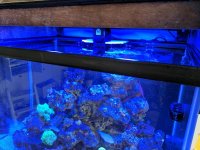 IMG_20170309_122113.jpg