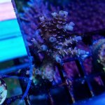 IMG_20180108_184838_752.jpg