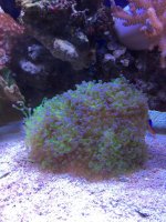 IMG_7034.jpg