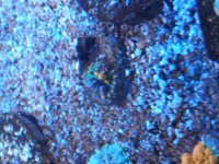 IMG_20171218_195829.jpg
