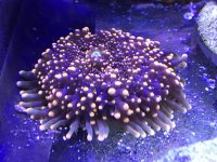 IMG_8618.jpg