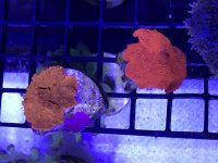IMG_8616.jpg