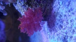 20180106_123444.jpg