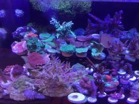 0CC0FEEF-6346-488D-BF97-6D400A11F0DD.jpg